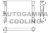 AUTOGAMMA 101041 Radiator, engine cooling